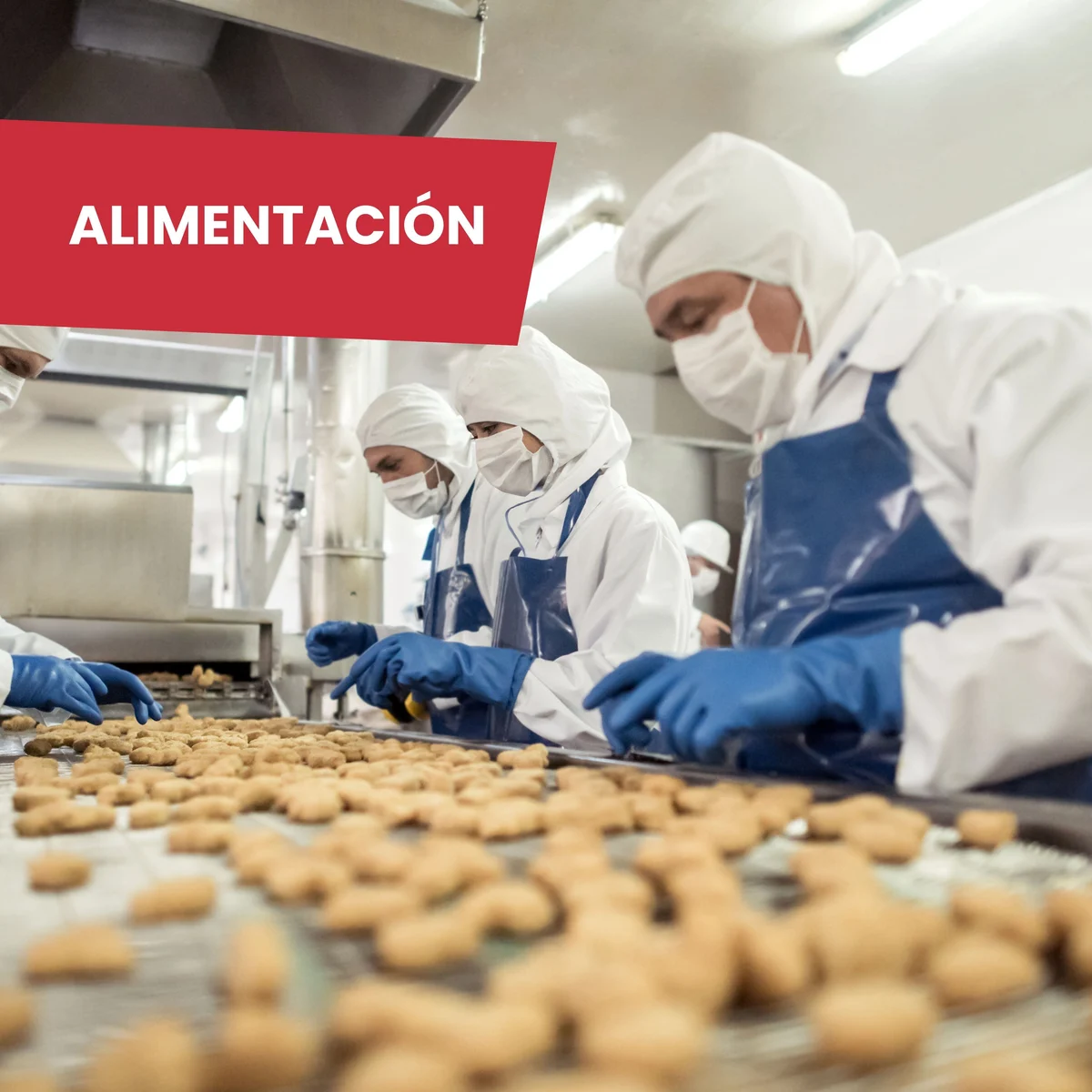 Workmed · Alimentación